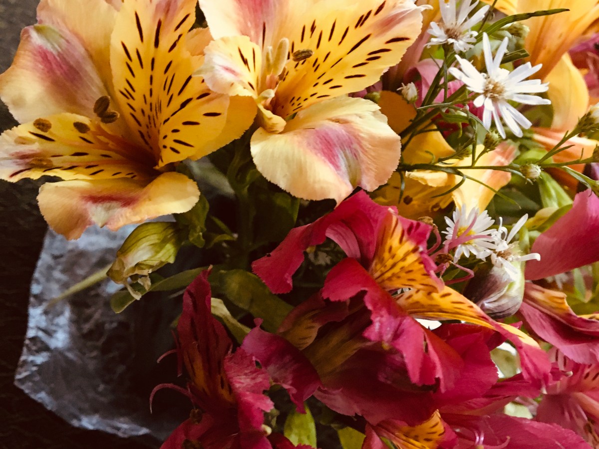 5 Things I learned in the corporate world: The why and woes of&nbsp;work.