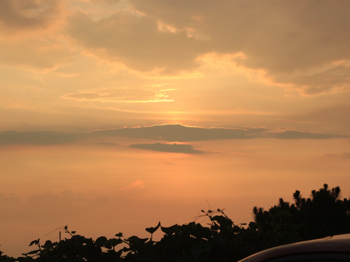 What Does Happily Every After Look&nbsp;Like?