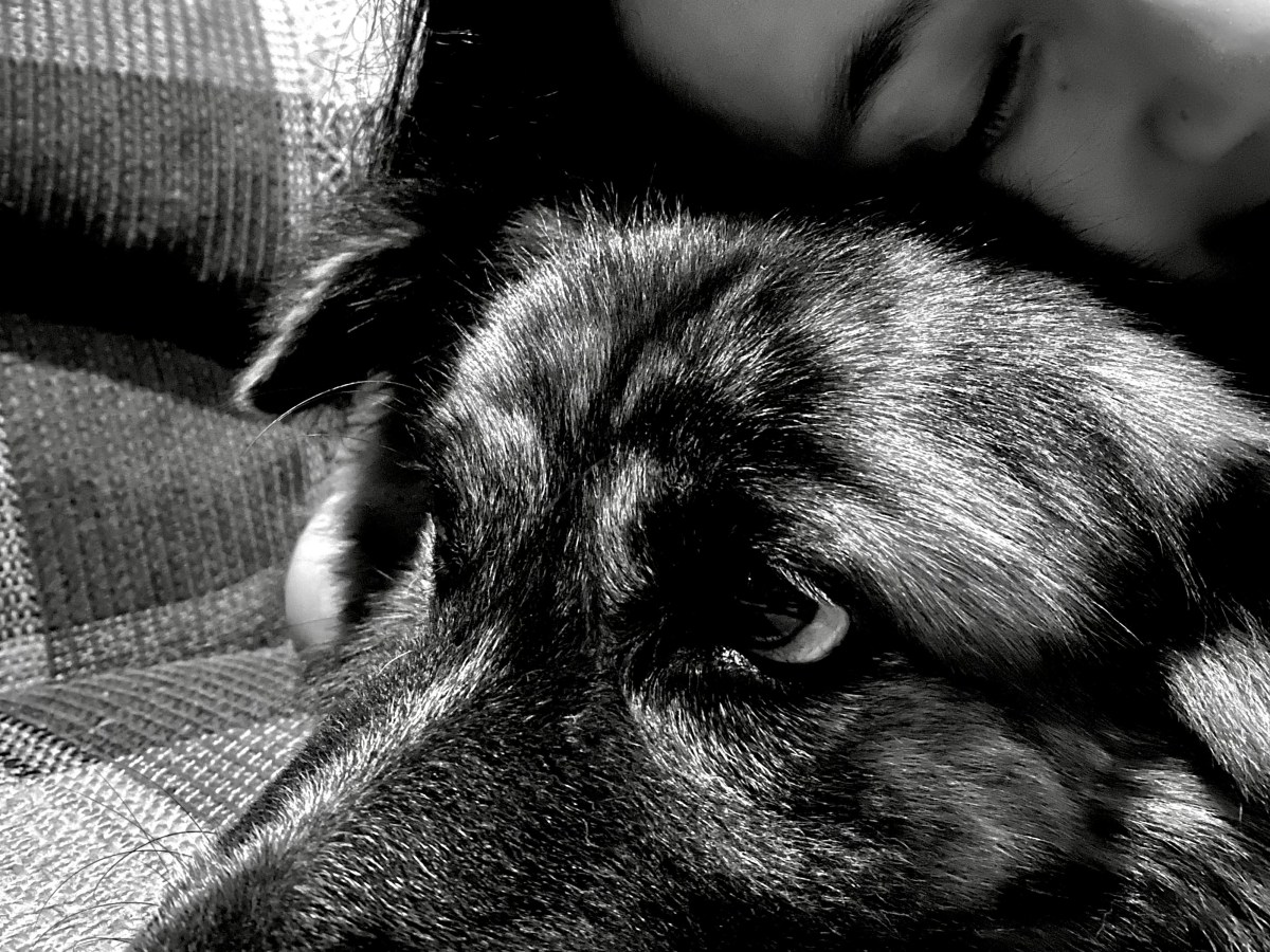 Winding Down -Sitting Alone at a&nbsp;Cafe